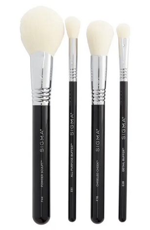 Sigma Beauty Essentials Brush Set