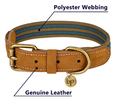 Polyester Fabric Webbing and Soft Genuine Leather Dog Collar in Navy and Olive