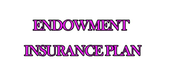Endowment insurance 101（1）