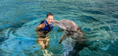 Swim with Dolphins Interax