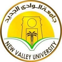 New Valley University
