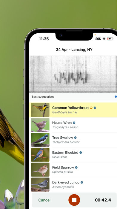 Merlin Bird ID by Cornell Lab screenshot