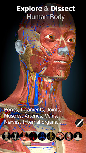 Anatomy Learning - 3D Anatomy screenshot