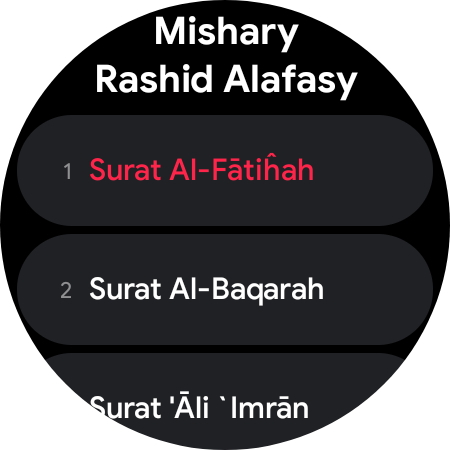 Quran Pro: Read the Holy Quran screenshot