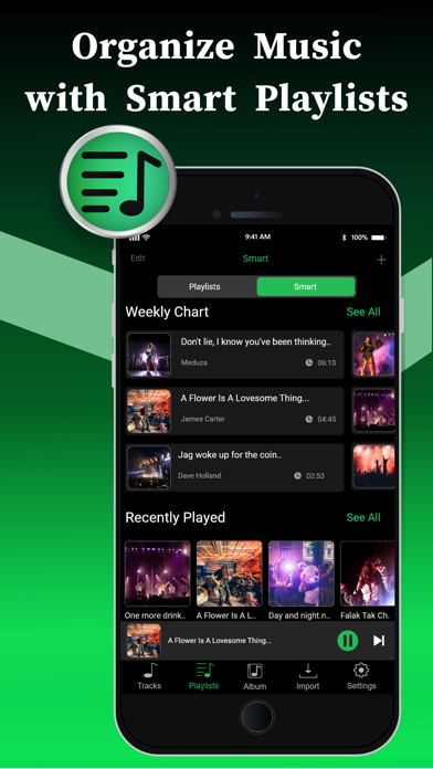 Offline Music Player screenshot