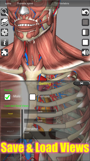 3D Anatomy screenshot