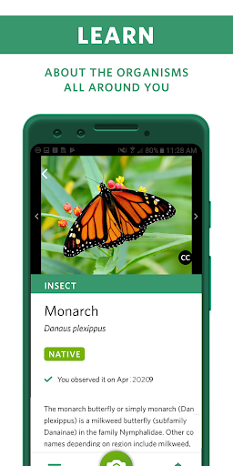 Seek by iNaturalist screenshot