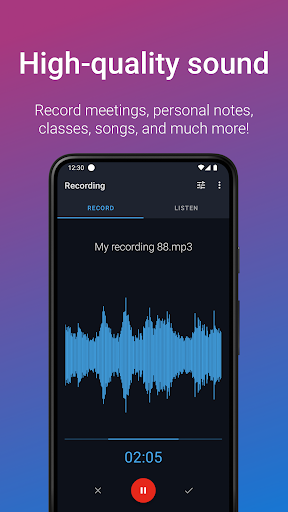 Easy Voice Recorder Pro screenshot
