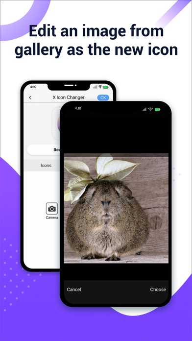 X Icon Changer - Change Icons screenshot