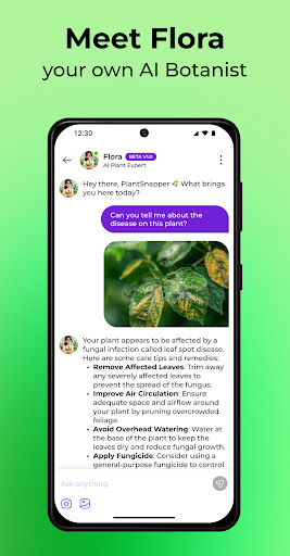 PlantSnap: plant identifier screenshot