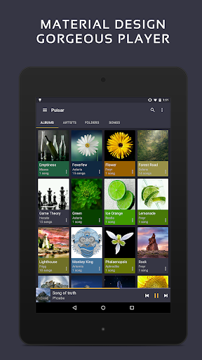 Pulsar Music Player Pro screenshot