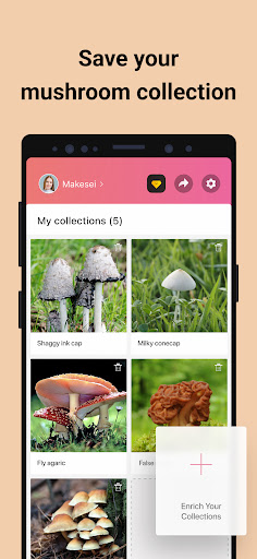 Picture Mushroom - Mushroom ID screenshot