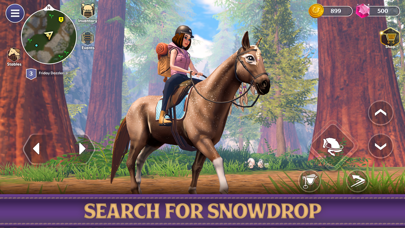 Star Equestrian - Horse Ranch screenshot