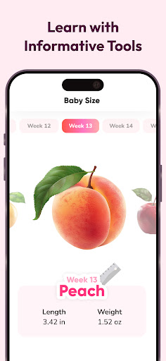 WeMoms Pregnancy Baby Tracker screenshot