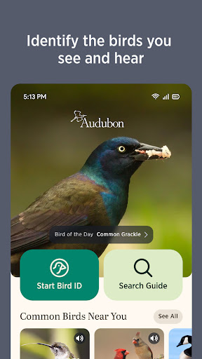 Audubon Bird Guide screenshot