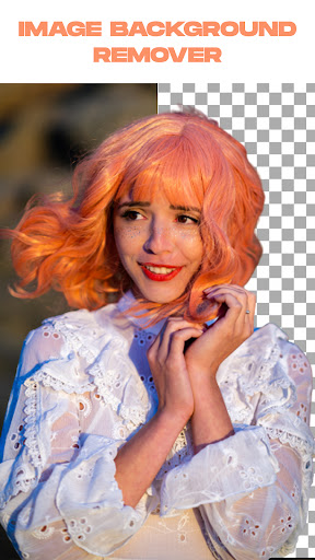 Remove Background From Video screenshot