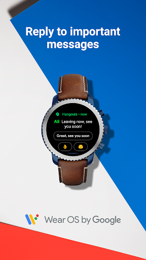 Wear OS by Google Smartwatch screenshot