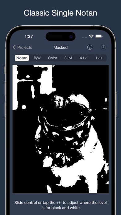 NotanIzer screenshot
