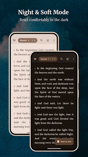 King James Bible (KJV) screenshot