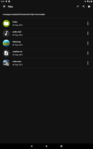Video Downloader Pro screenshot