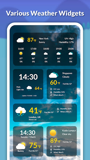 Live weather: Forecast, widget screenshot