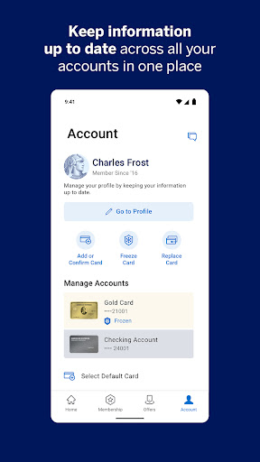 Amex screenshot