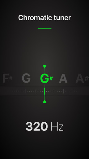 Guitar Tuner Pro: Music Tuning screenshot