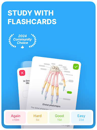 Anki Pro: Flashcards Learning screenshot