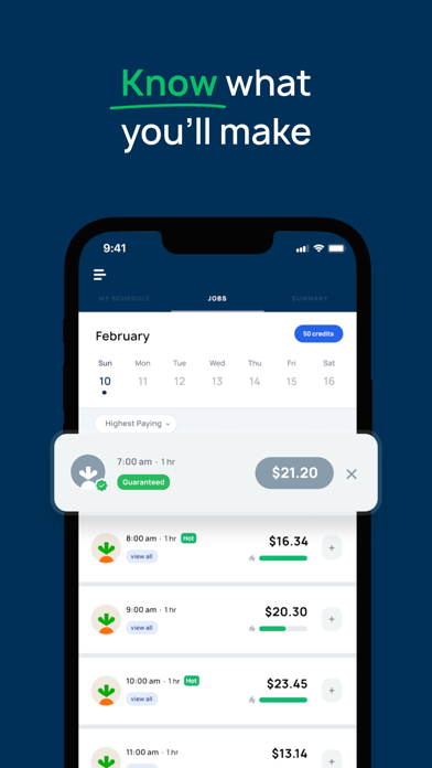 Solo: Your Gig Business App screenshot