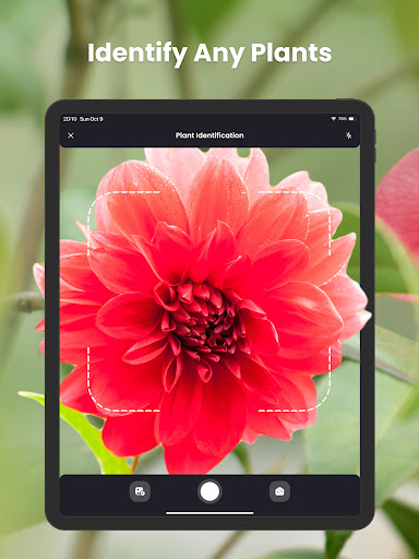 PlantIn Plant Identifier, Care screenshot