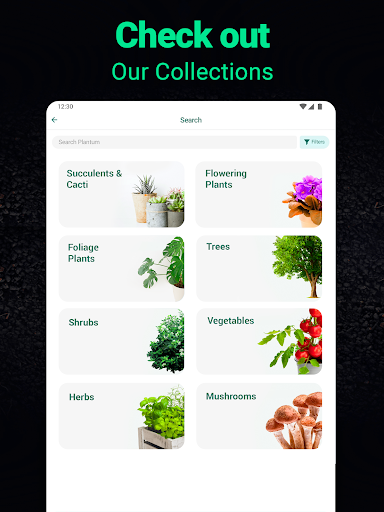 Plantum - Plant Identifier screenshot