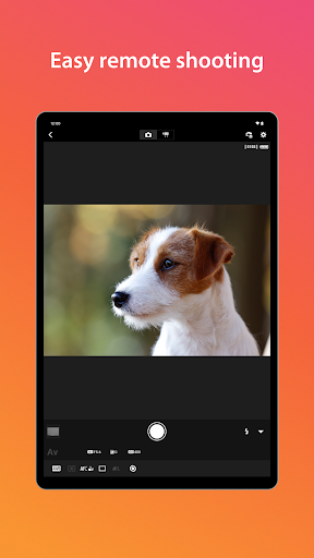 Canon Camera Connect screenshot