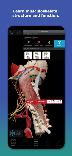 Human Anatomy Atlas 2025 screenshot