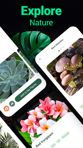 Plantum - Plant Identifier screenshot