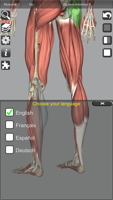 3D Anatomy screenshot