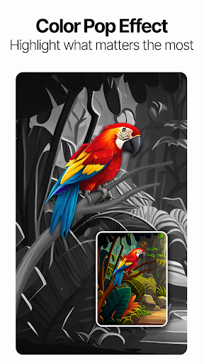 Photo App - AI Photo Enhancer screenshot