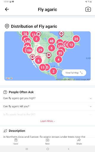Picture Mushroom - Mushroom ID screenshot