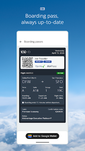 American Airlines screenshot