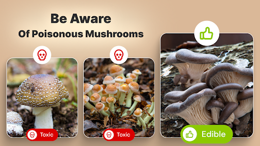 Mushroom Identification screenshot
