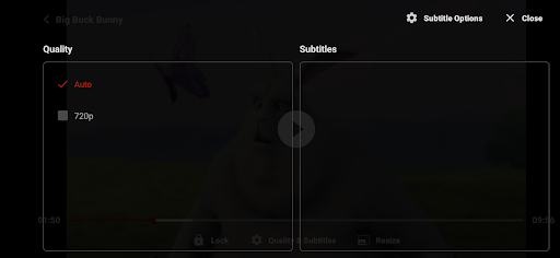 ZoZo Player - URL Video Player screenshot