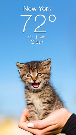 Weather Kitty - App & Widget screenshot