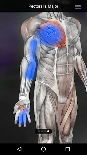 Muscle Trigger Point Anatomy screenshot