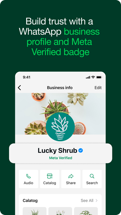 WhatsApp Business screenshot