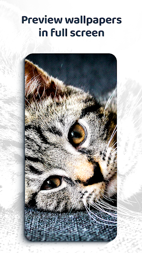 Beautiful Wallpapers 4K screenshot