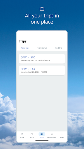 American Airlines screenshot