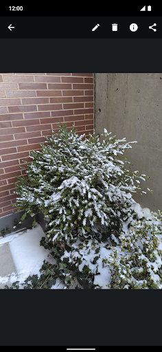 Secure Camera screenshot