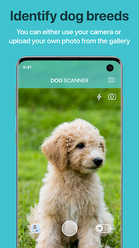 Dog Scanner: Breed Recognition screenshot