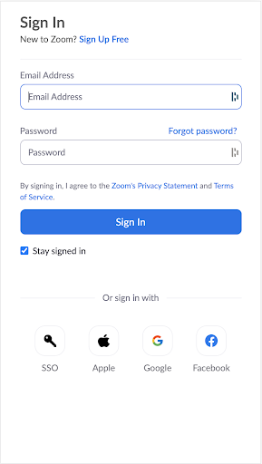 Zoom for Chromebook screenshot