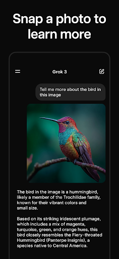 Grok - AI Assistant screenshot