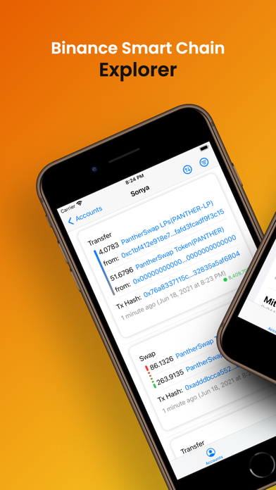Binance Smart Chain Explorer screenshot